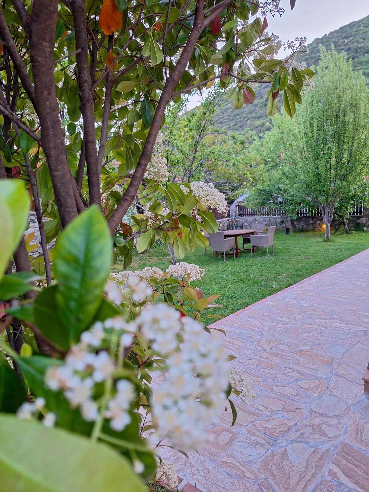 Country House On Mount Olympus Karia  外观 照片