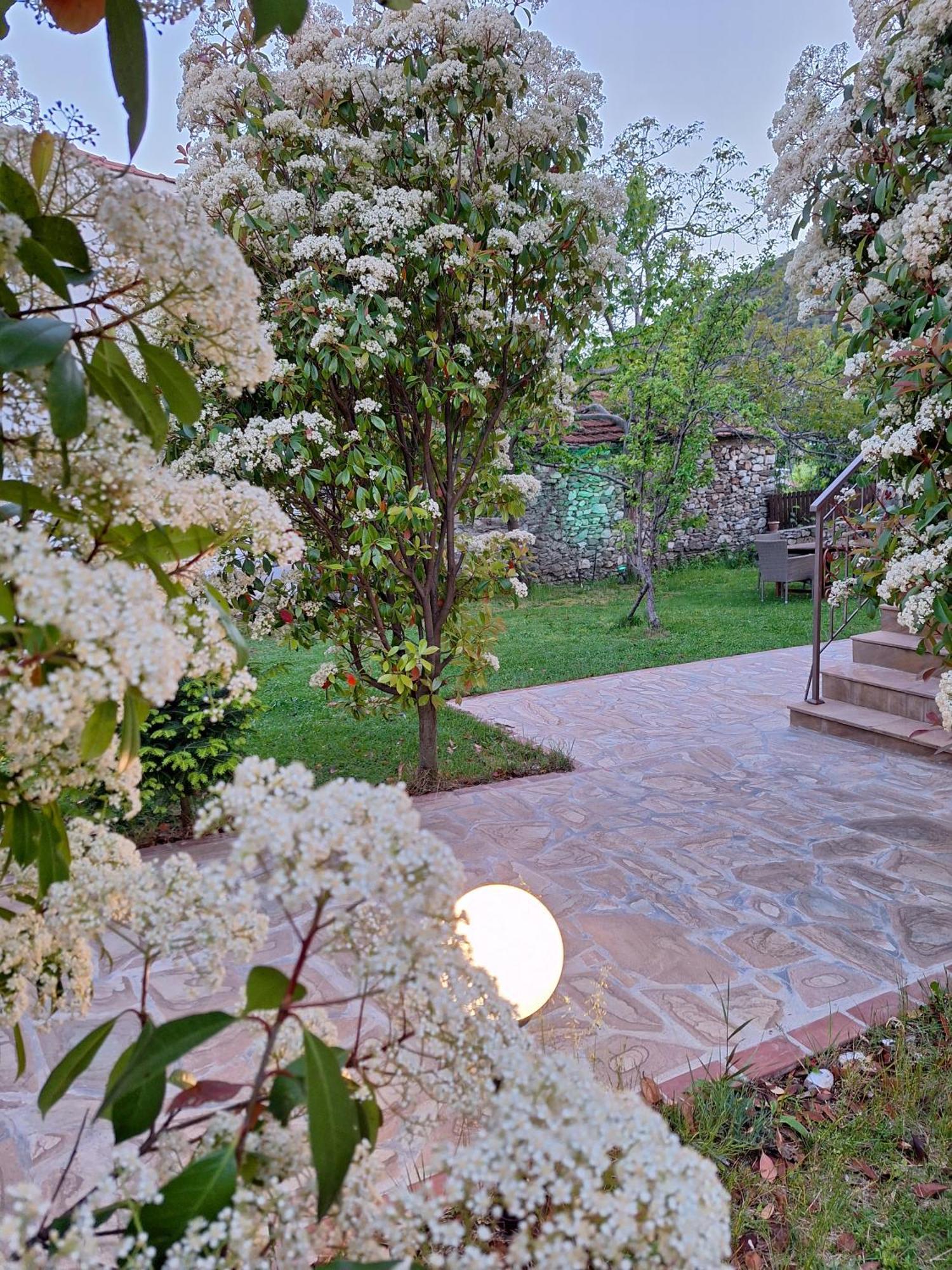 Country House On Mount Olympus Karia  外观 照片